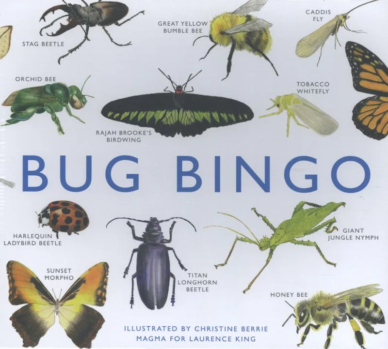 Bug Bingo von Laurence King – Buchfoto