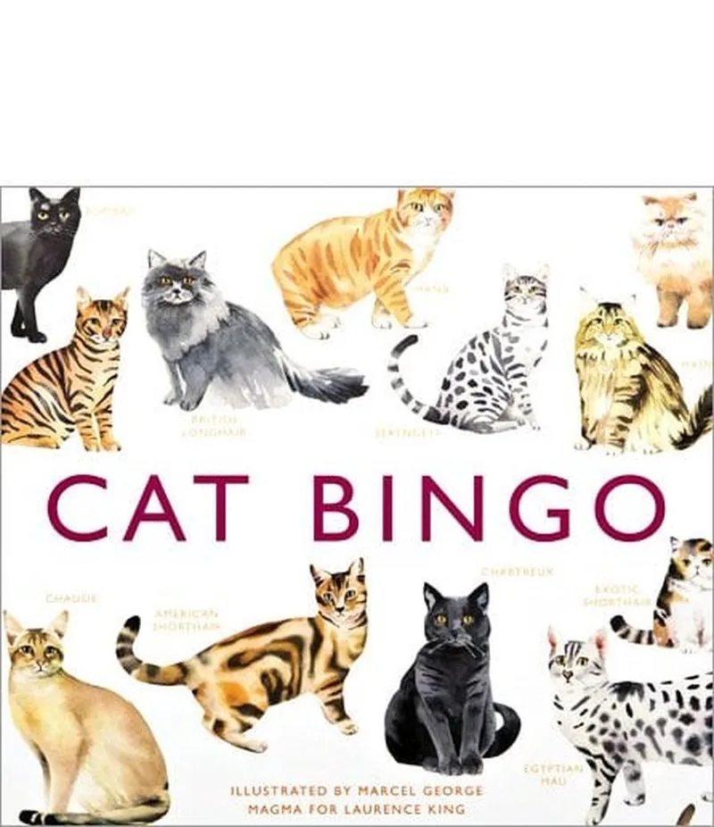 Cat Bingo von Laurence King – Buchfoto