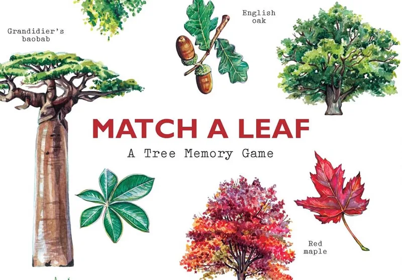 Match a Leaf: A Tree Memory Game von Laurence King – Buchfoto