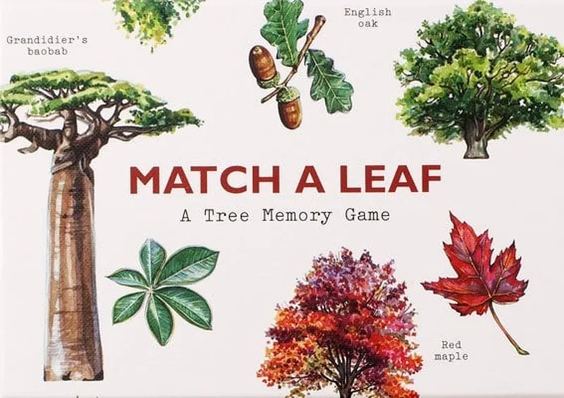Match a Leaf A Tree Memory Game:A Tree Memory Game von Laurence King – Buchfoto
