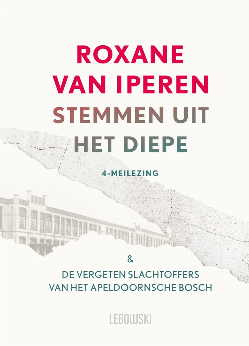 Stemmen uit het diepe von Lebowski – Buchfoto