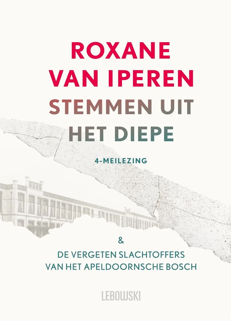 Stemmen uit het diepe de Lebowski – photo du livre