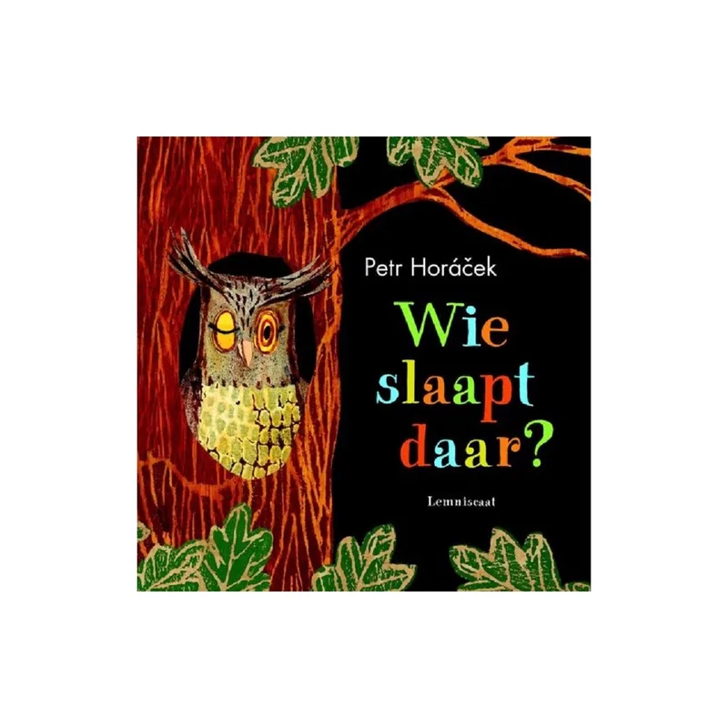 Wie slaapt daar? fra Lemniscaat – billede af bogen