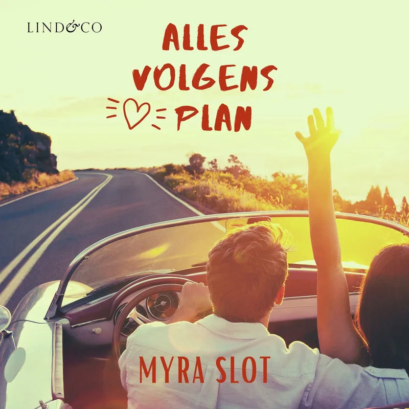 Alles volgens plan von Lind & Co – Buchfoto