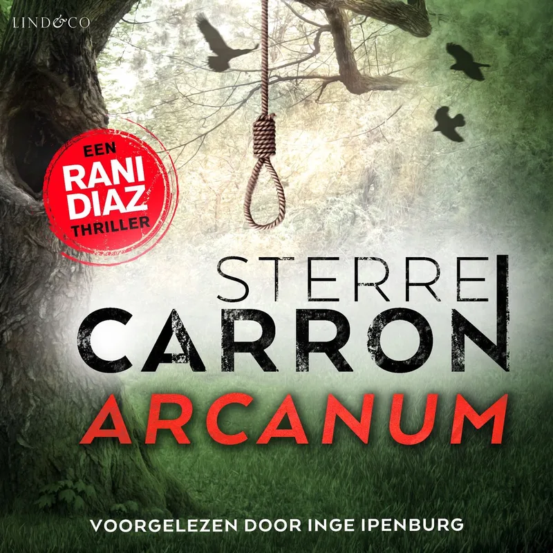 Arcanum von Lind & Co – Buchfoto