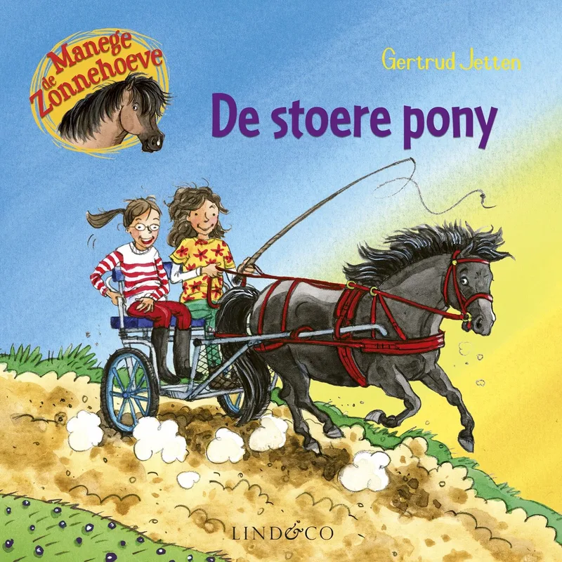 De stoere pony von Lind & Co – Buchfoto