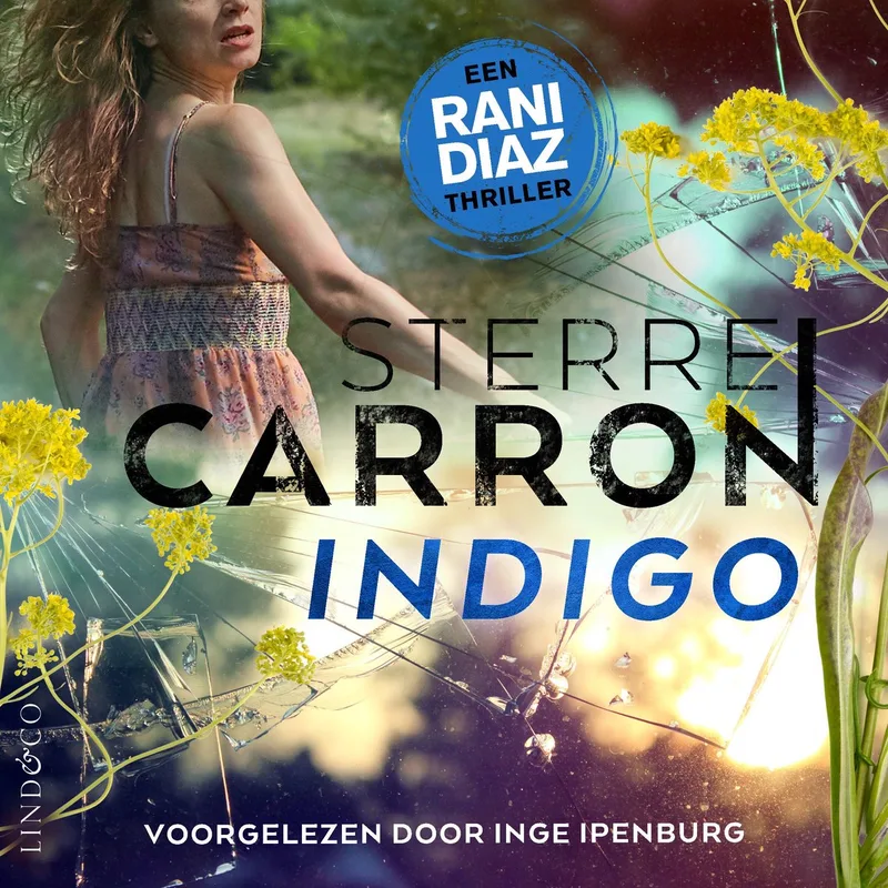 Indigo von Lind & Co – Buchfoto