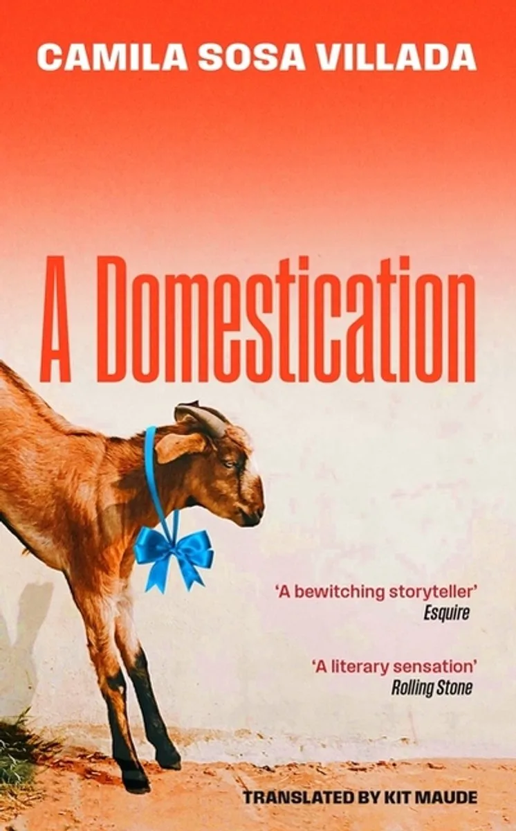 A Domestication von Little, Brown – Buchfoto