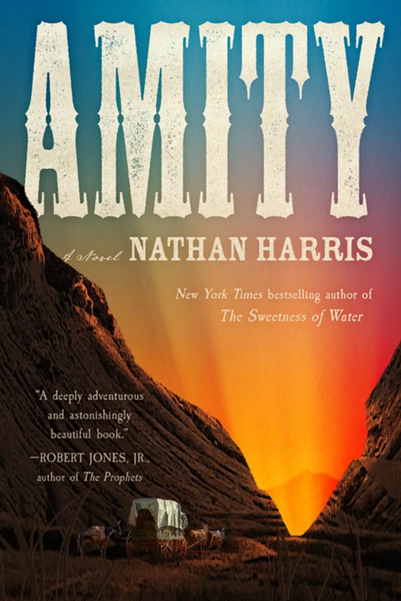 Amity von Little, Brown – Buchfoto