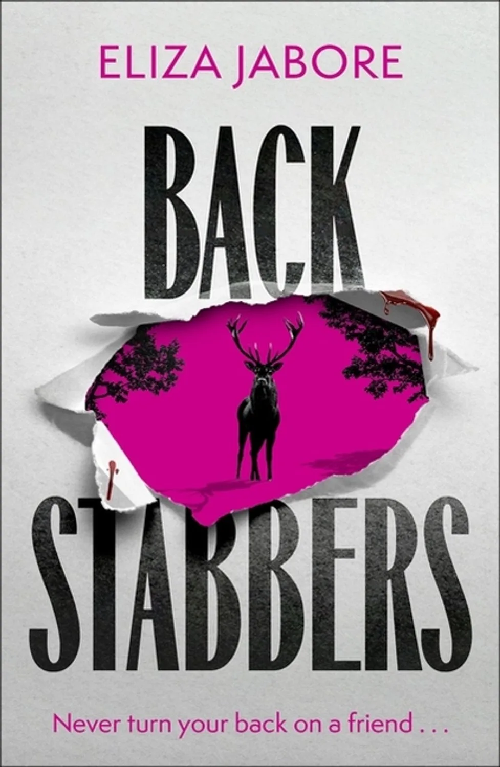 Backstabbers von Little, Brown – Buchfoto