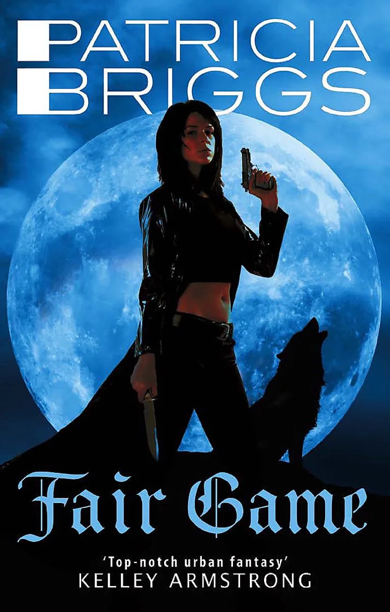 Fair Game von Little, Brown – Buchfoto