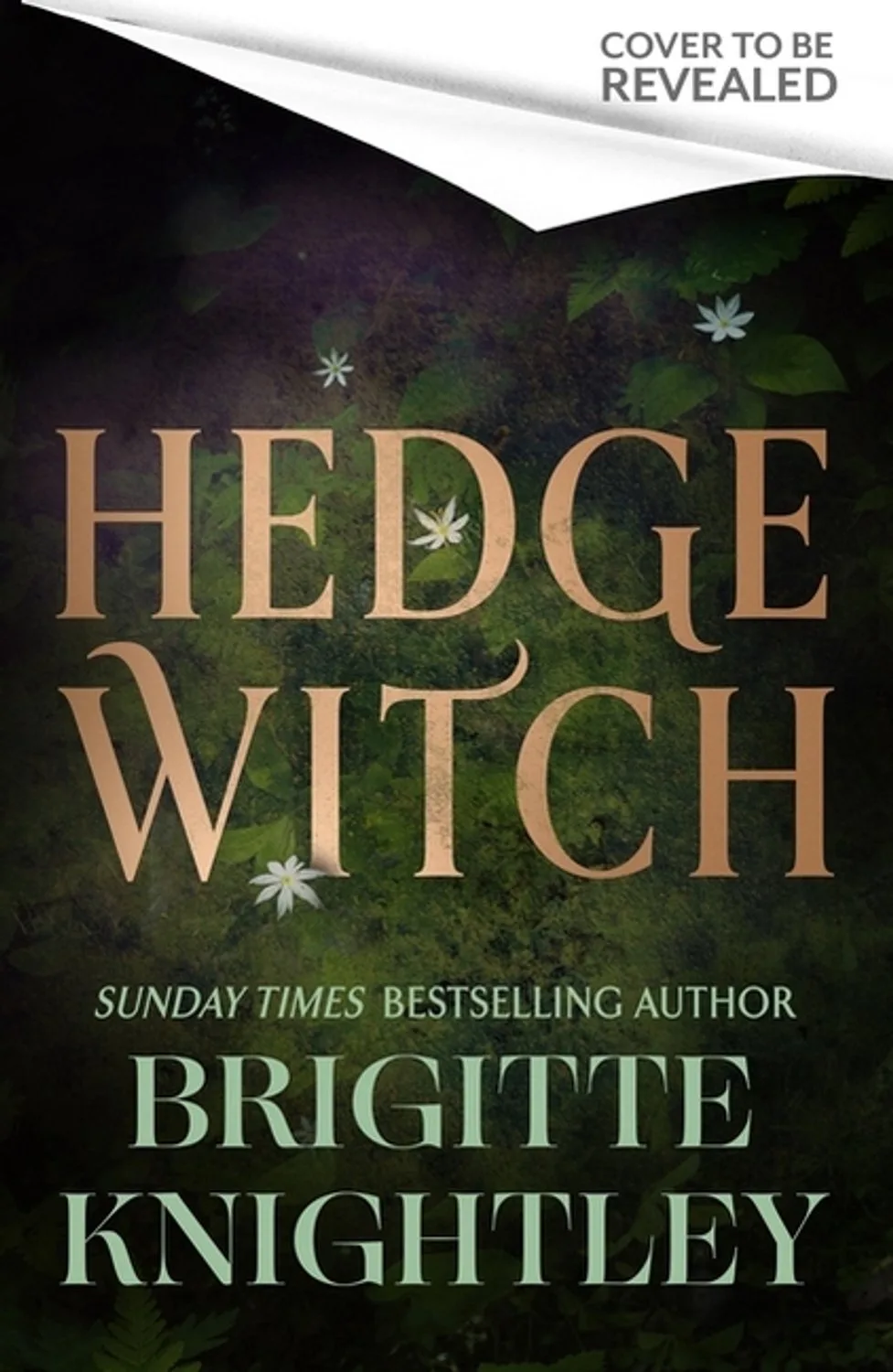 Hedgewitch von Little, Brown – Buchfoto