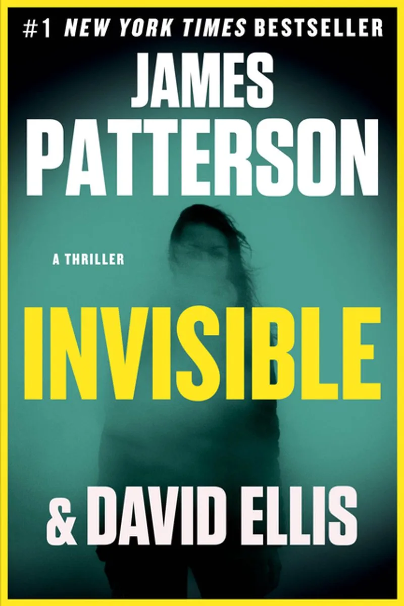 Invisible fra Little, Brown – billede af bogen