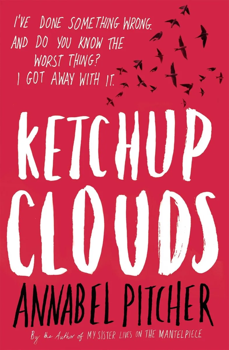 Ketchup Clouds fra Little, Brown – billede af bogen