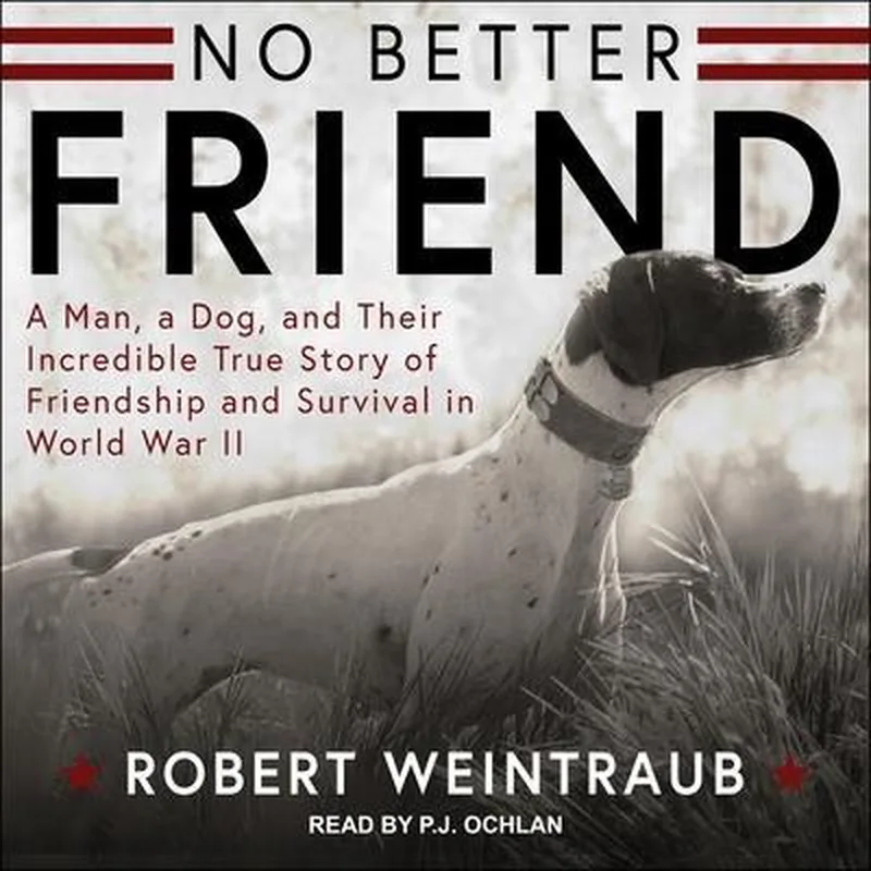 No Better Friend Lib/E von Little, Brown – Buchfoto