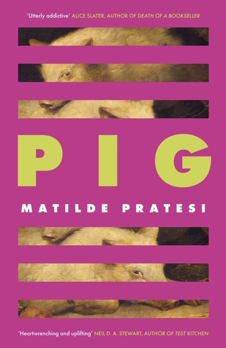 Pig fra Little, Brown – billede af bogen