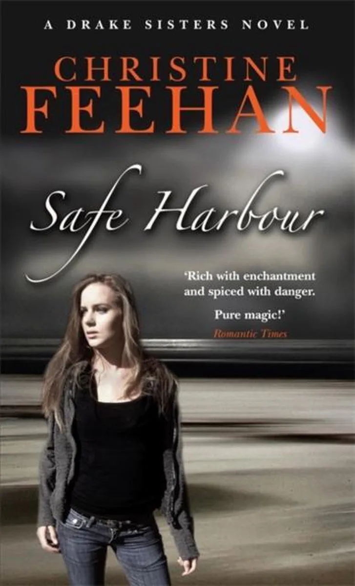 Safe Harbour fra Little, Brown – billede af bogen