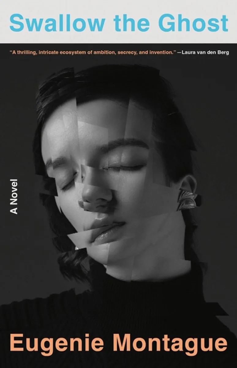 Swallow the Ghost fra Little, Brown – billede af bogen