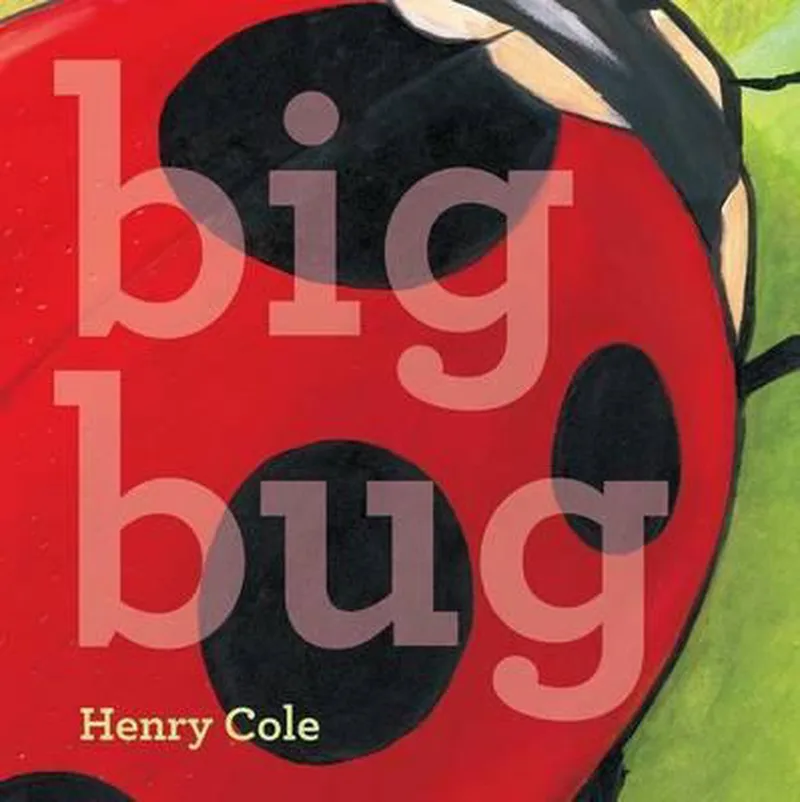 Big Bug von Little Simon – Buchfoto