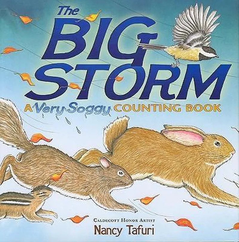 The Big Storm fra Little Simon – billede af bogen