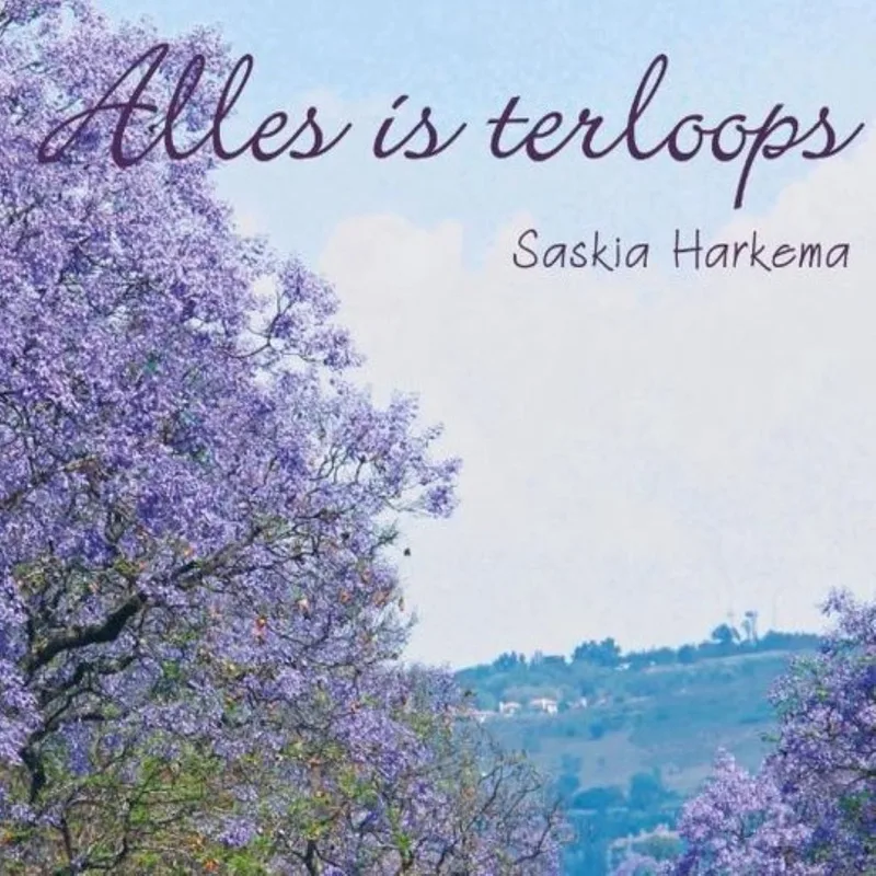 Alles is terloops de Luistereffect – photo du livre