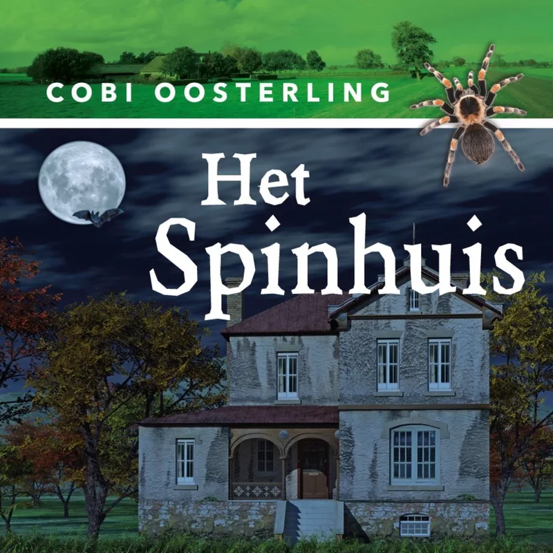 Het spinhuis von Luistereffect – Buchfoto