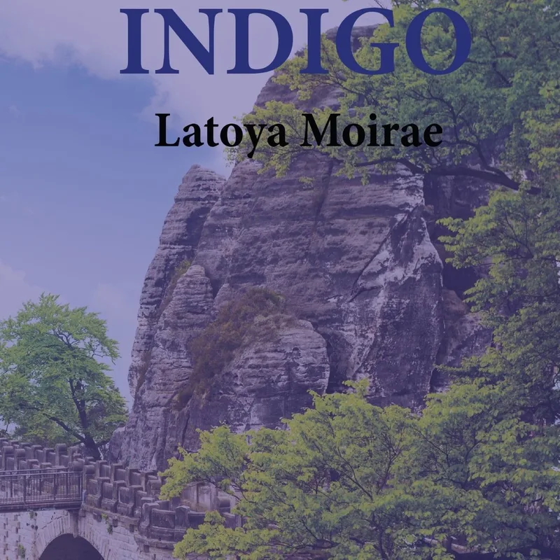 Indigo de Luistereffect – photo du livre