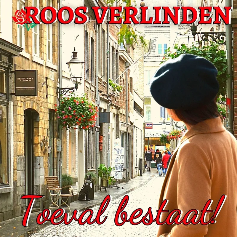 Toeval bestaat! fra Luistereffect – billede af bogen