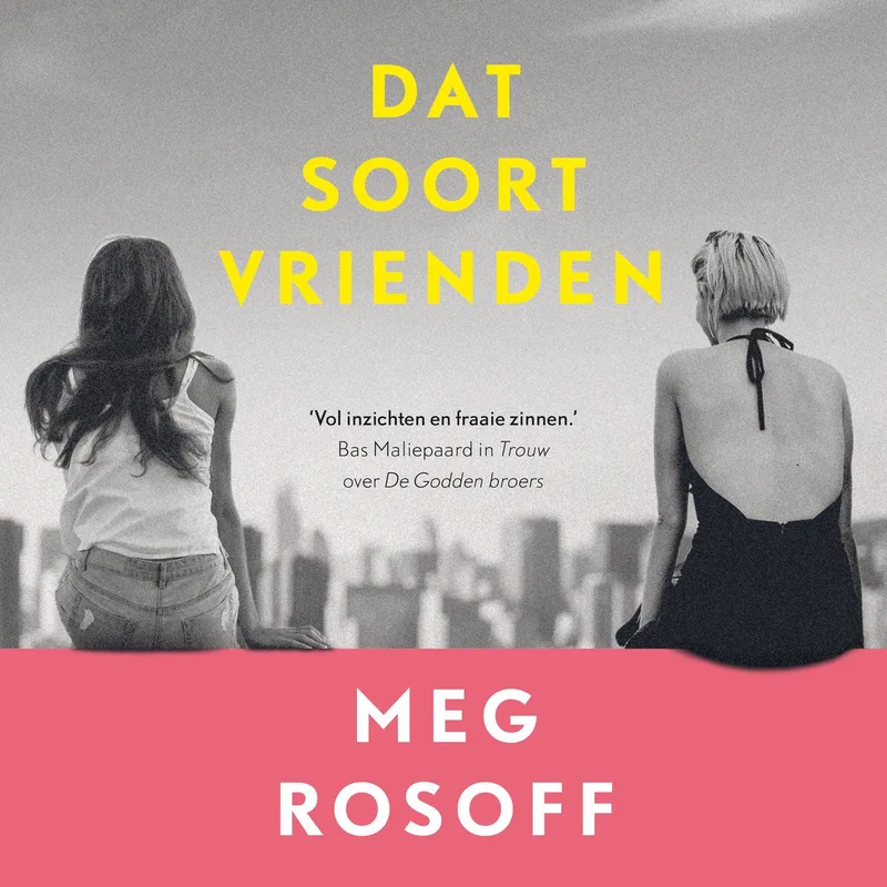 Dat soort vrienden von Luitingh-Sijthoff – Buchfoto