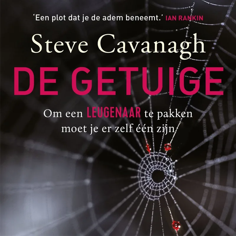 De getuige von Luitingh-Sijthoff – Buchfoto