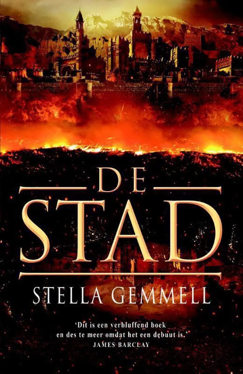 De stad fra Luitingh-Sijthoff – billede af bogen