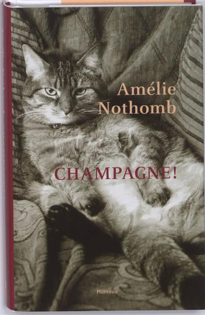 Champagne! von Manteau – Buchfoto