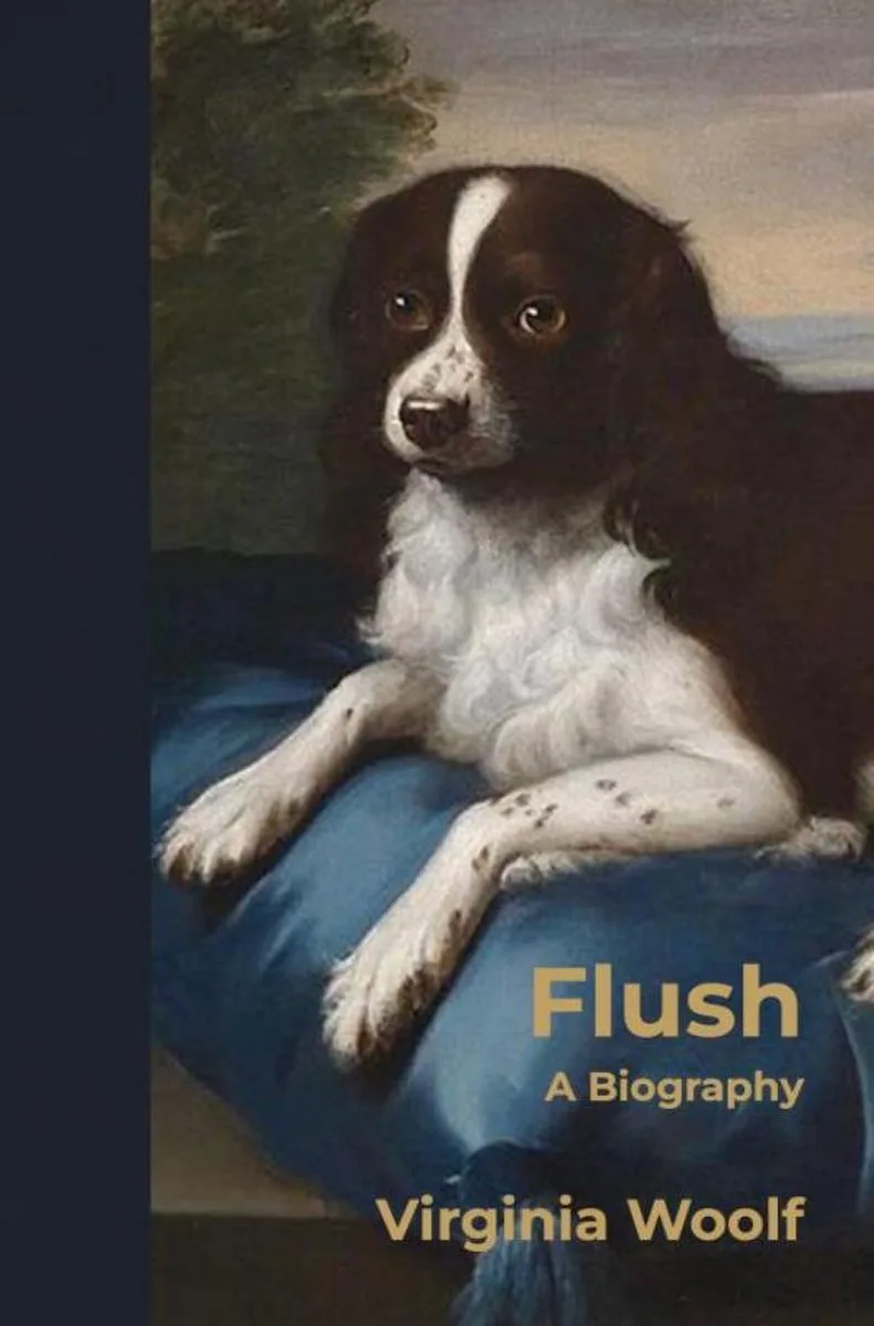 Flush fra Mariner Books – billede af bogen