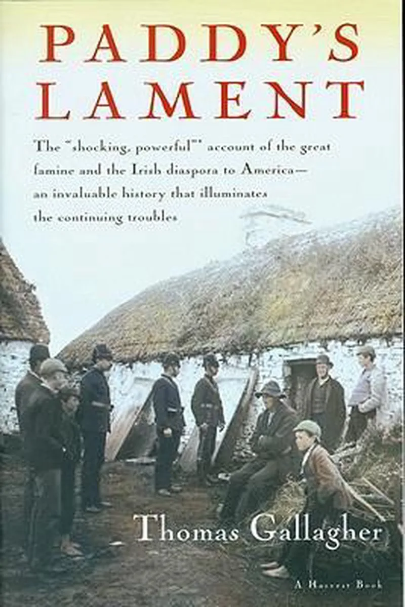 Paddy's Lament von Mariner Books – Buchfoto