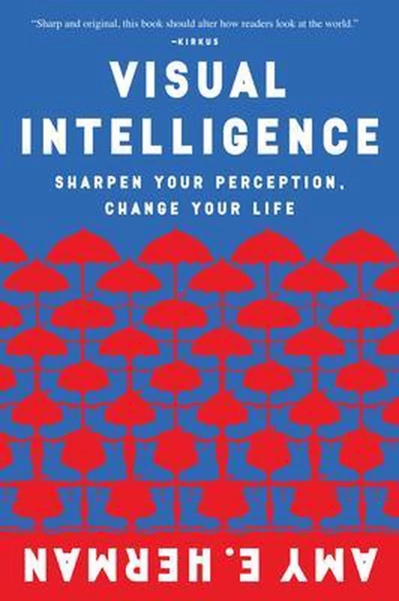 Visual Intelligence fra Mariner Books – billede af bogen