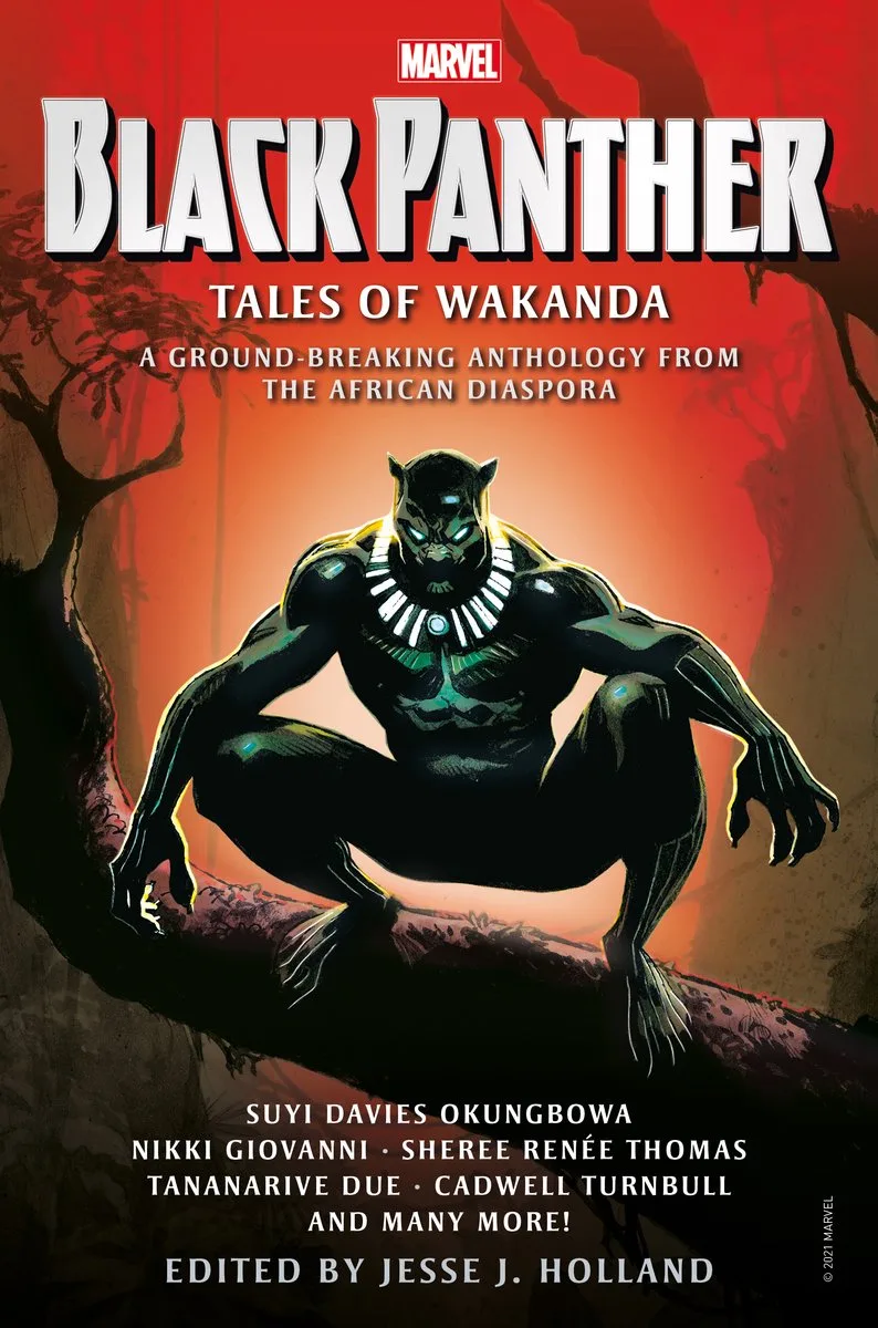 Black Panther de Marvel Comics – photo du livre