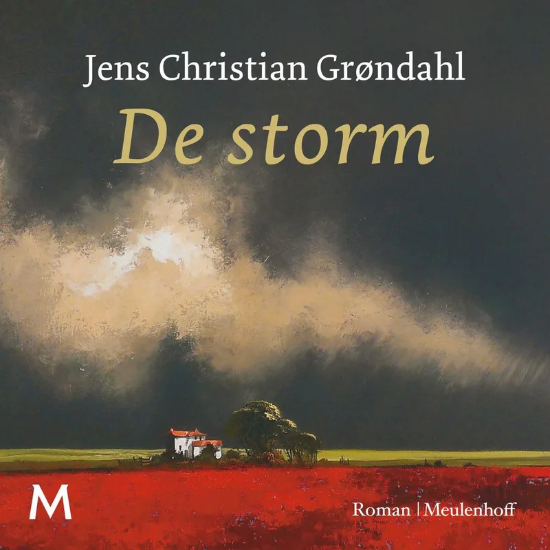De storm von Meulenhoff – Buchfoto