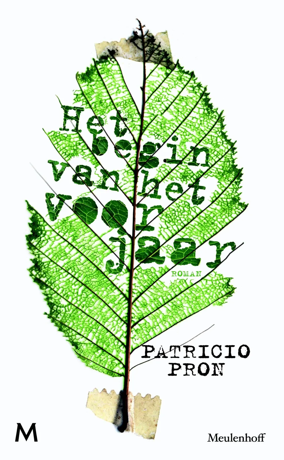 Het begin van het voorjaar von Meulenhoff – Buchfoto