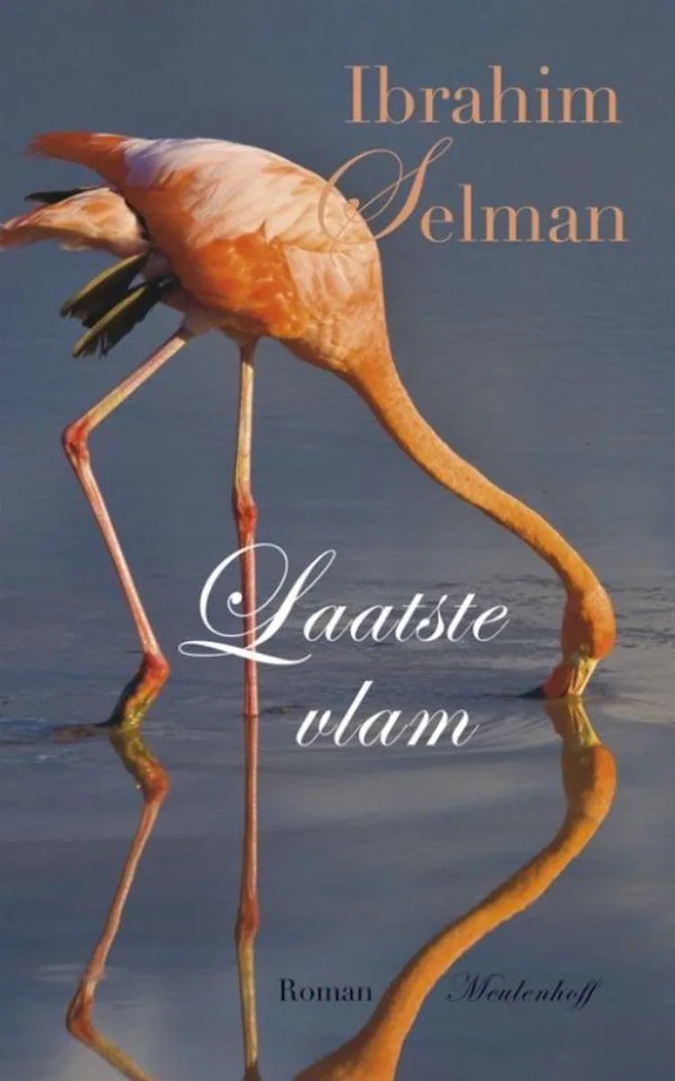 Laatste vlam von Meulenhoff – Buchfoto