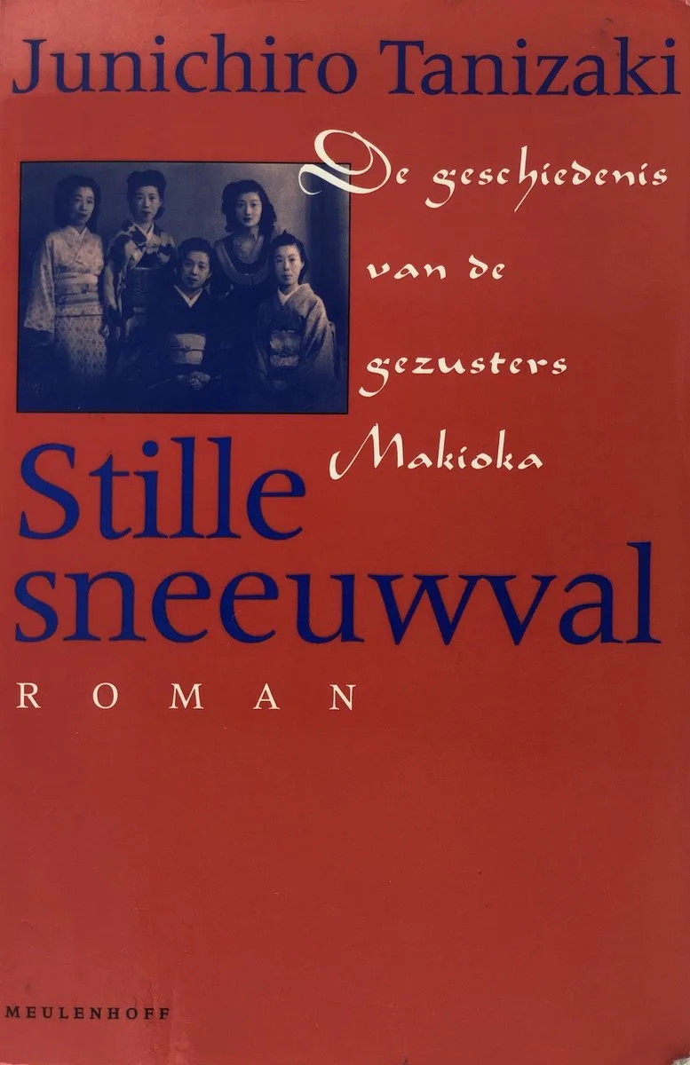 Stille sneeuwval von Meulenhoff – Buchfoto