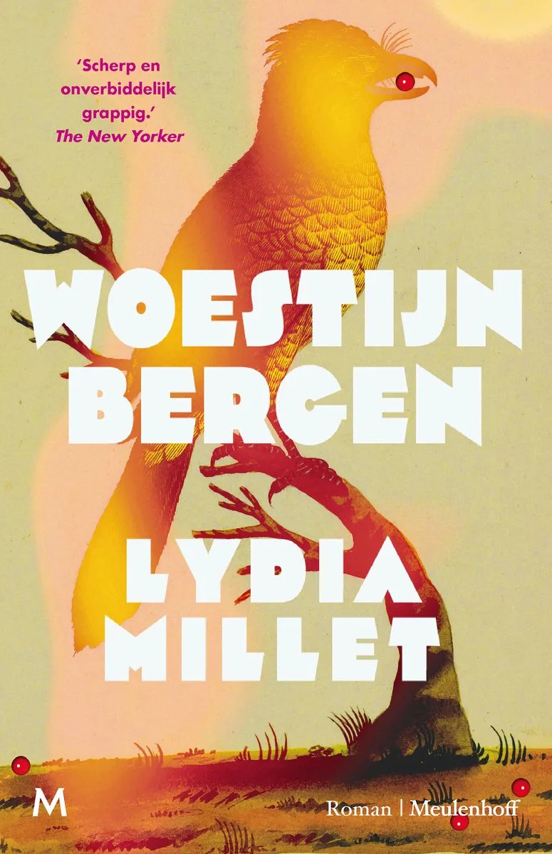 Woestijnbergen von Meulenhoff – Buchfoto