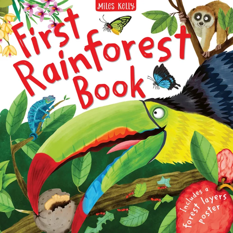First Rainforest Book von Miles Kelly – Buchfoto
