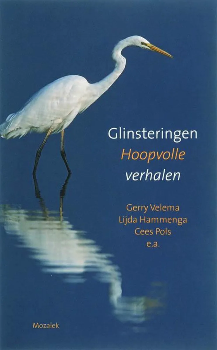 Glinsteringen von Mozaiek – Buchfoto