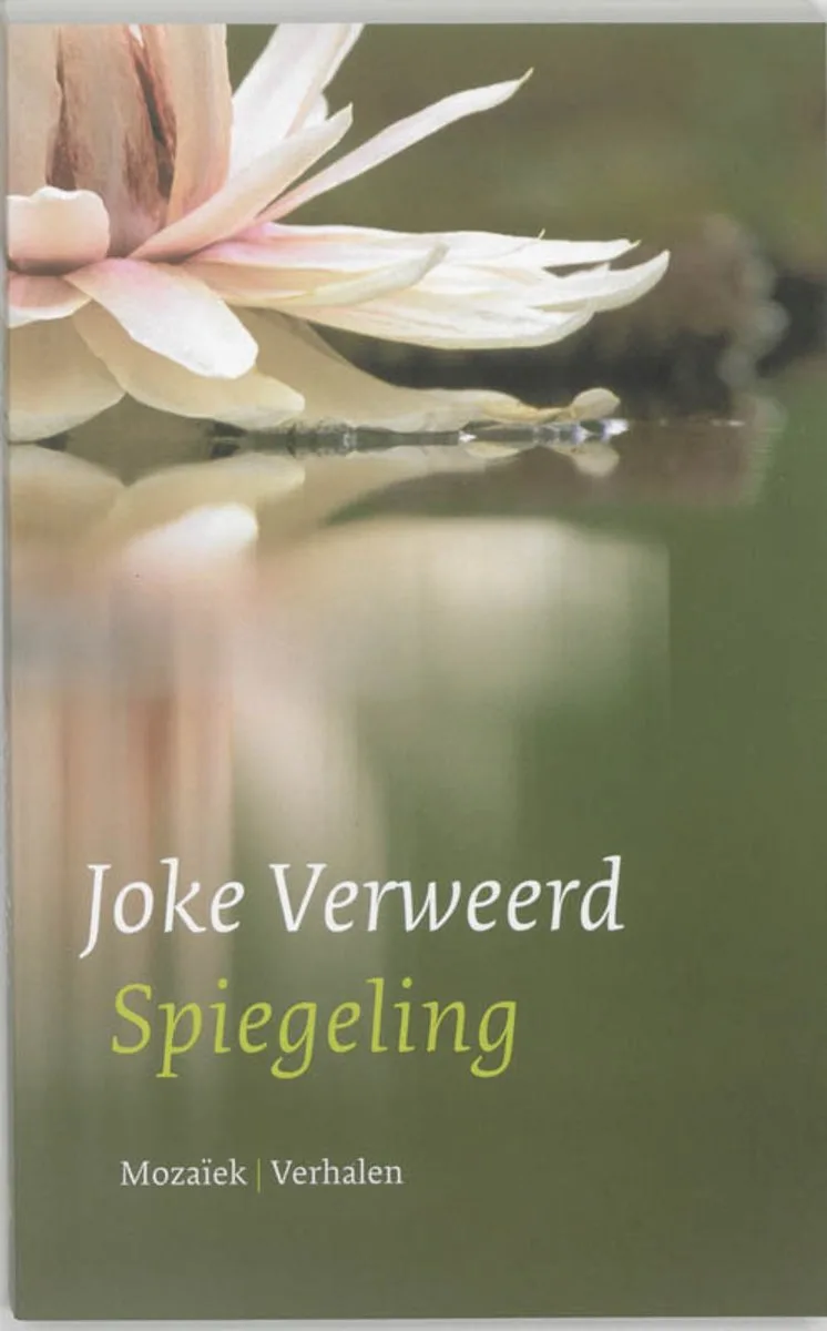 Spiegeling de Mozaiek – photo du livre