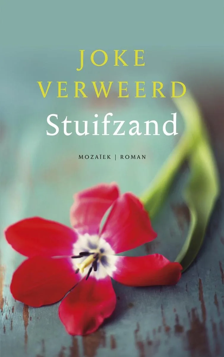 Stuifzand von Mozaiek – Buchfoto