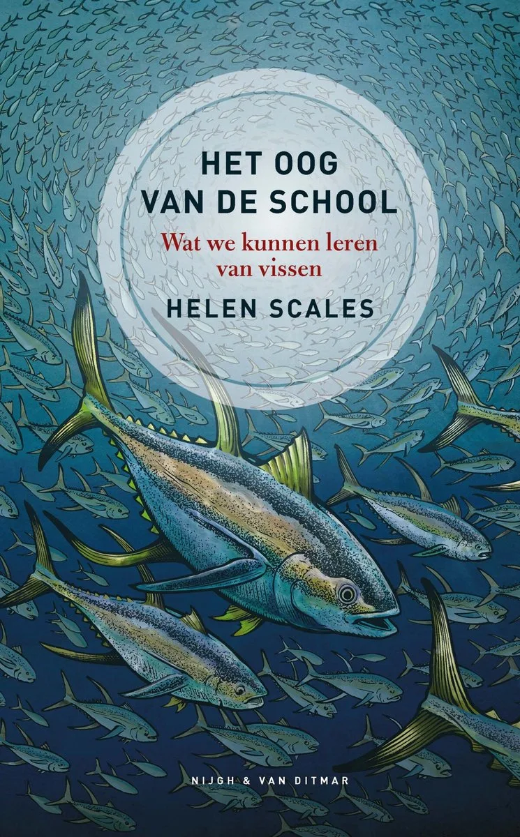 Het oog van de school von Nijgh & Van Ditmar – Buchfoto