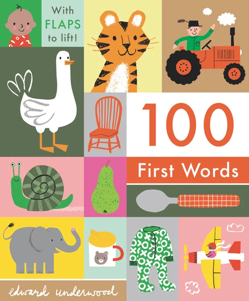 100 First Words von Nosy Crow – Buchfoto
