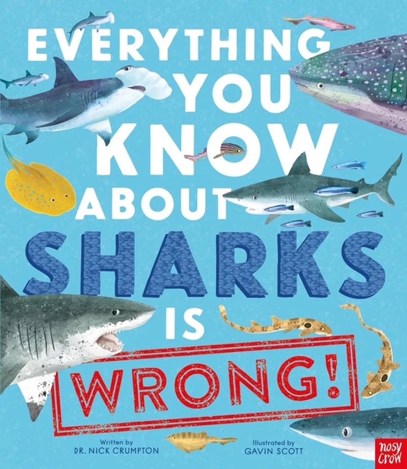 Everything You Know About... Is Wrong- Everything You Know about Sharks Is Wrong! von Nosy Crow – Buchfoto