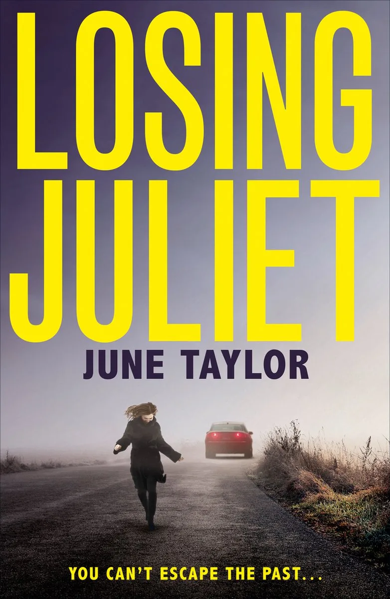 Losing Juliet de One More Chapter – photo du livre