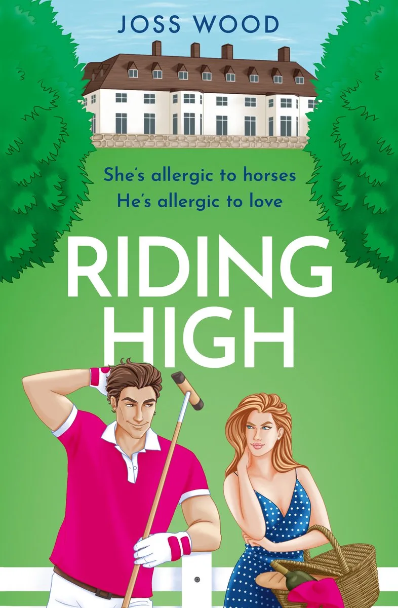 Riding High by One More Chapter – book photo